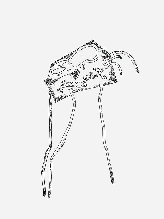 Soporte