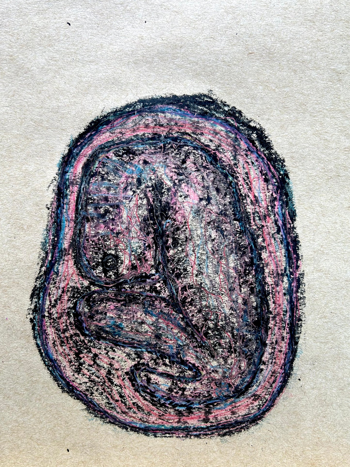 Embrión