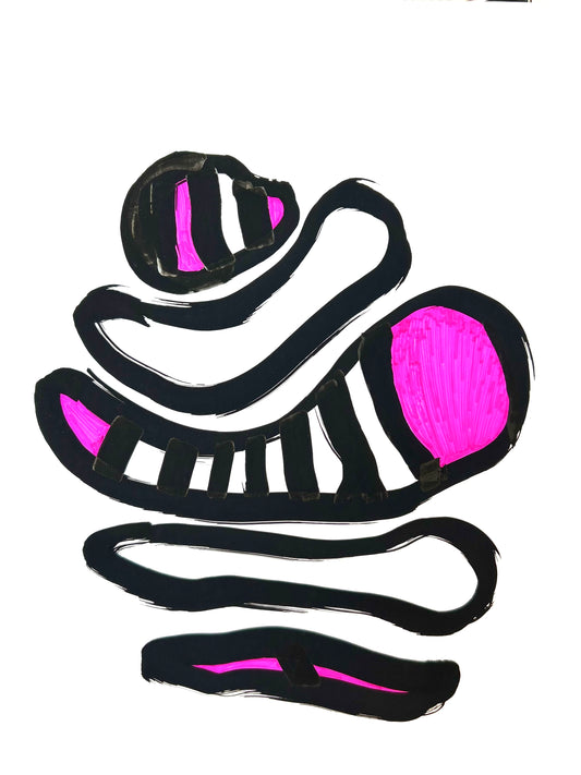 Evolución