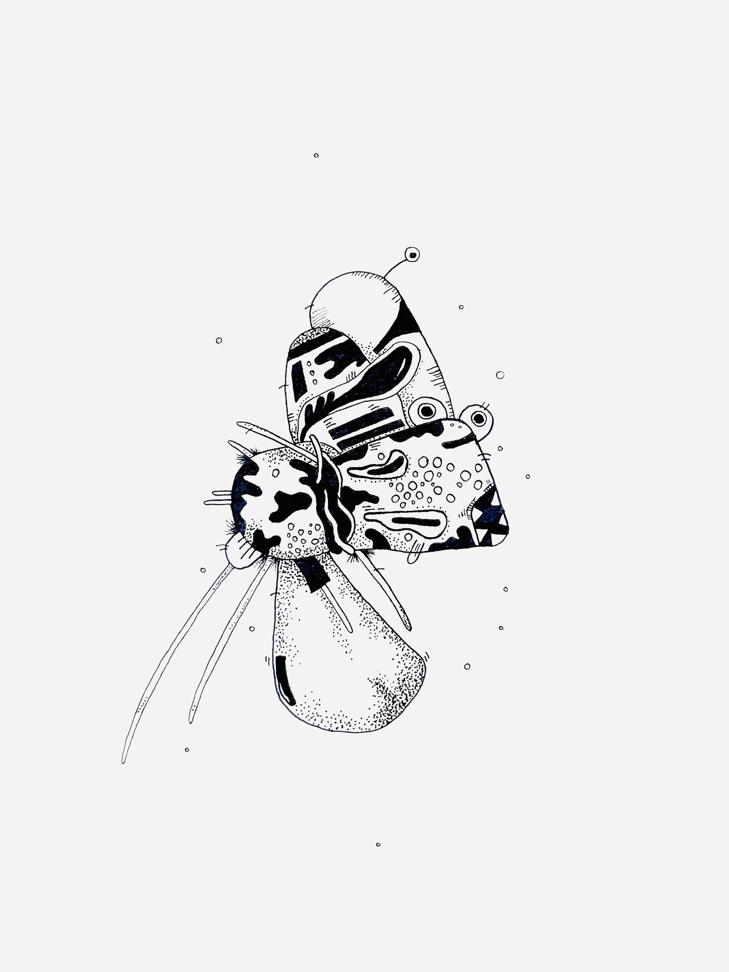 Insecto con vergüenza