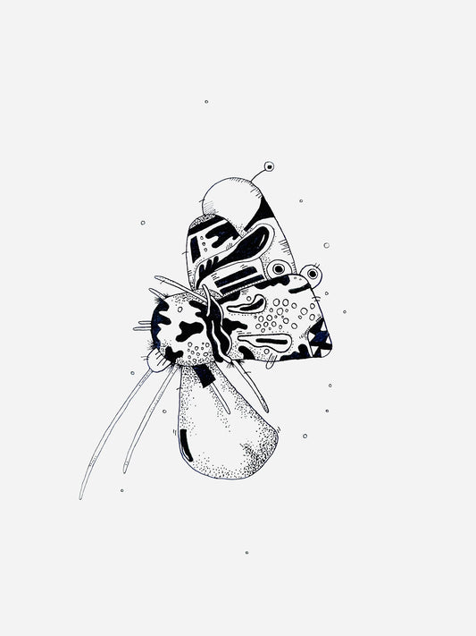 Insecto con vergüenza