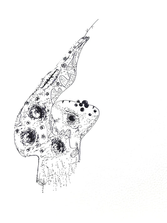 Metamorfosis